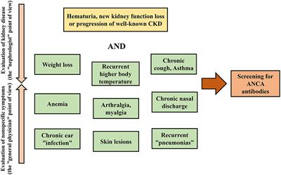 Diagnostic and Therapeutic Approach in ANCA-Associated Glomerulonephritis: A Review on Management Strategies